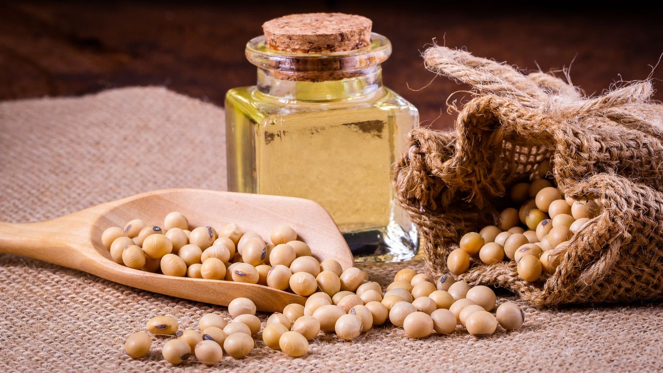 Soybean Oil manufacturer MTRES FOODS NOVA supplier