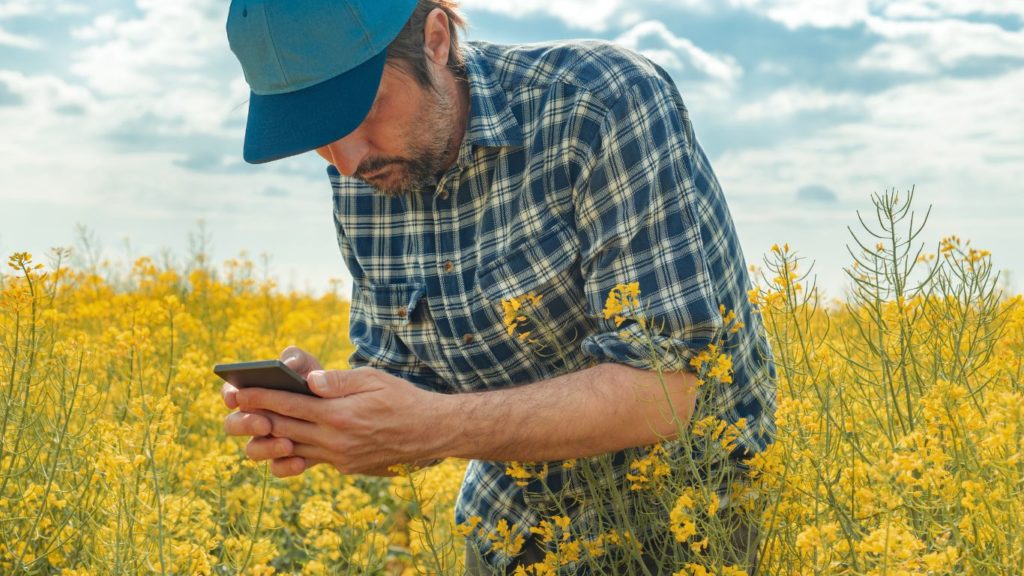 Canola Oil manufacturer MTRES FOODS NOVA supplier