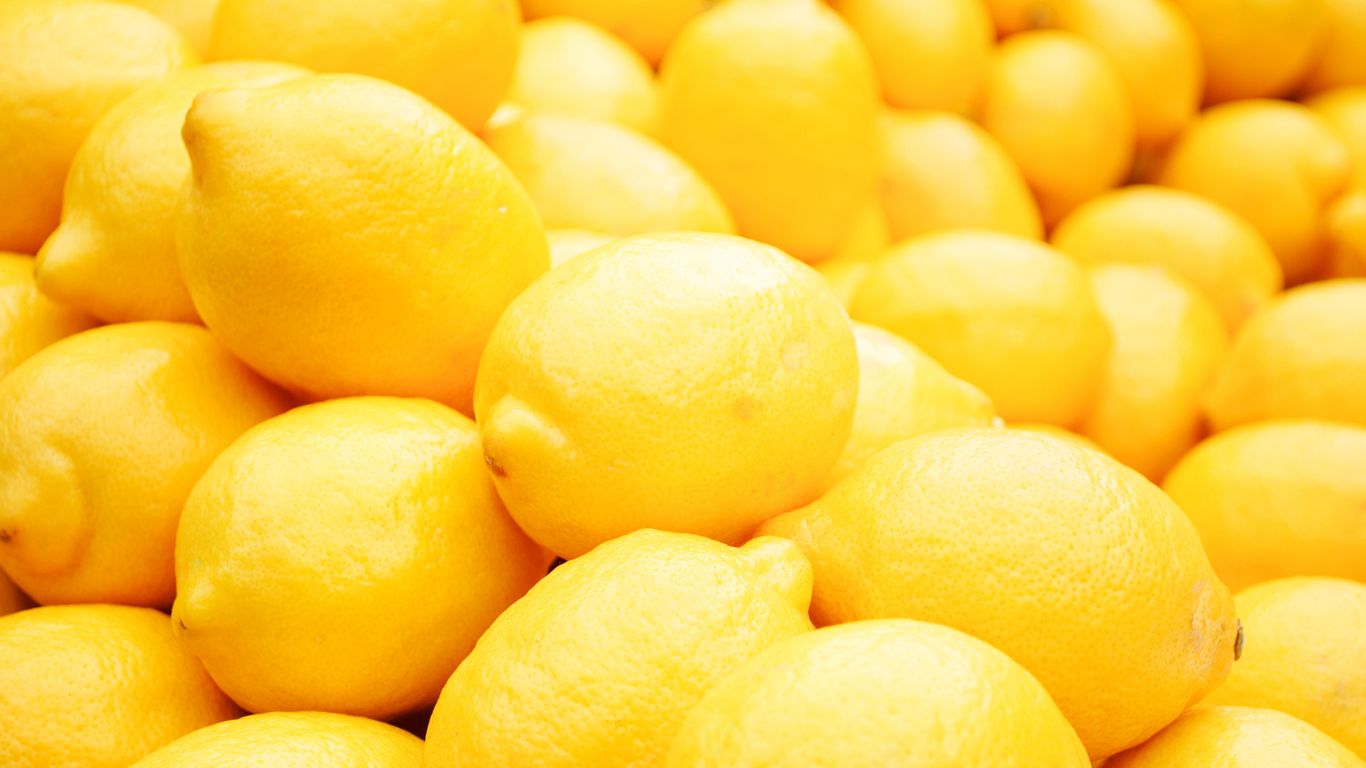 LEMON JUICE & LIME JUICE MANUFACTURER SUPPLIER NOVA MTRES FOODS