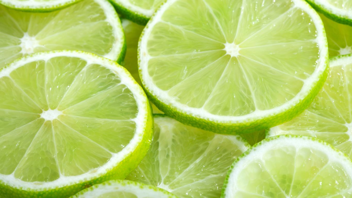 LEMON JUICE & LIME JUICE MANUFACTURER SUPPLIER NOVA MTRES FOODS