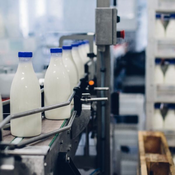 Milk Manufacturer Producer Supplier MTRES FOODS